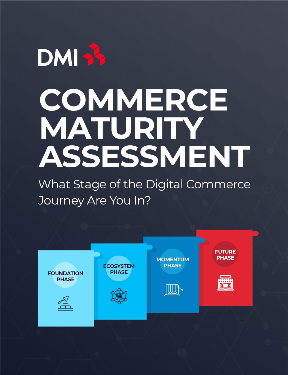 Commerce Maturity Assessment Commerce Maturity Assessment