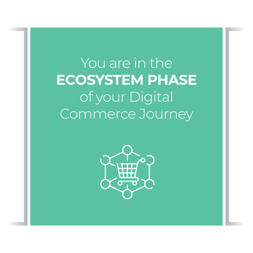2_Phases_Ecosystem Phase