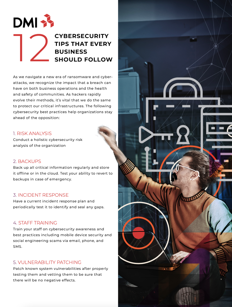 DMI Inc. - Cybersecurity 12 Tips that Every Business Should Follow